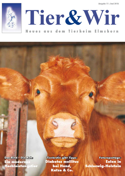 Tier & Wir Nr. 11 | Juni 2016