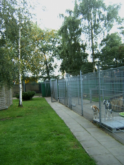 Außengehege Hunde